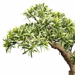 Bonsai artificial Stone Yew in ghiveci - 40 cm