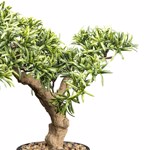 Bonsai artificial Stone Yew in ghiveci - 40 cm