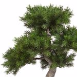 Bonsai artificial decorativ in ghiveci ceramic - 48 cm