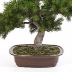 Bonsai artificial decorativ in ghiveci ceramic - 48 cm