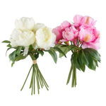 Buchet bujori artificiali crem - 35 cm