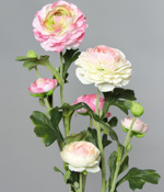 Buchet x3 ranunculus artificial crem-roz - 62 cm