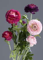 Buchet x3 ranunculus artificial roz-mov - 62 cm