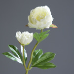 Bujor artificial crem - 60 cm