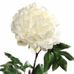 Bujor artificial crem - 56 cm
