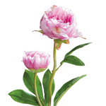 Bujor artificial roz - 60 cm