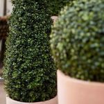Buxus artificial Ø 40cm UV in ghiveci Boxwood - 135 cm