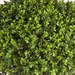 Buxus artificial decorativ Ø 70cm Boxwood in ghiveci - 85 cm