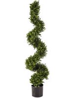 Buxus artificial decorativ Boxwood in forma de spirala - 135 cm