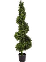 Buxus artificial decorativ Boxwood Royal in forma de spirala - 135 cm
