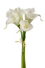 Buchet x6 cale artificiale albe din spuma - 35 cm
