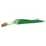 Ceapa artificiala decorativa verde  - 30 cm