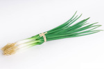 Ceapa artificiala decorativa verde  - 30 cm
