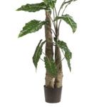Copac artificial Alocasia cu 22 frunze - 180 cm