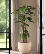 Copac artificial Alocasia cu 22 frunze - 180 cm