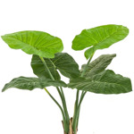 Copac artificial Alocasia cu 6 frunze - 90 cm