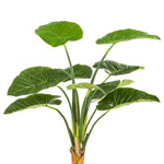 Copac artificial Alocasia cu 9 frunze - 160 cm