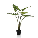 Copac artificial Alocasia frydek cu 5 frunze - 80 cm