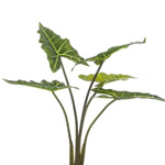 Copac artificial Alocasia frydek cu 5 frunze - 80 cm