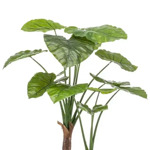 Copac artificial Alocasia x2 cu 14 frunze - 110 cm