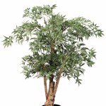 Copac artificial Aralia (Polyscias) cu trunchi natural - 110 cm