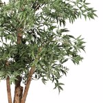 Copac artificial Aralia (Polyscias) cu trunchi natural - 110 cm