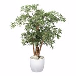 Copac artificial Aralia (Polyscias) cu trunchi natural - 110 cm