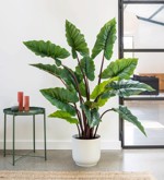 Copac artificial Colocasia cu 14 frunze - 130 cm