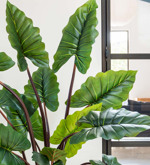 Copac artificial Colocasia cu 14 frunze - 130 cm