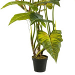Copac artificial Colocasia cu 14 frunze - 175 cm