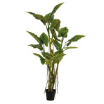 Copac artificial Colocasia cu 19 frunze - 195 cm
