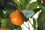 Copac artificial de portocale in ghiveci - 75 cm