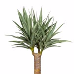 Copac artificial Dracaena in ghiveci - 120 cm