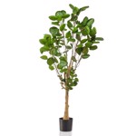 Copac artificial Poliscia (Polyscias) - 150 cm