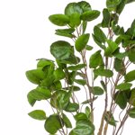 Copac artificial Poliscia (Polyscias) - 150 cm