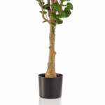 Copac artificial Poliscia (Polyscias) - 150 cm