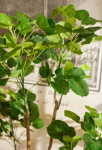 Copac artificial Poliscia (Polyscias) cu 192 frunze - 135 cm