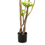Copac artificial Poliscia (Polyscias) cu 192 frunze - 135 cm