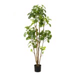 Copac artificial Poliscia (Polyscias) cu 279 frunze - 160 cm