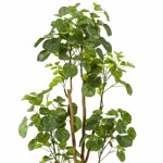 Copac artificial Poliscia (Polyscias) cu 279 frunze - 160 cm