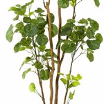 Copac artificial Poliscia (Polyscias) cu 279 frunze - 160 cm