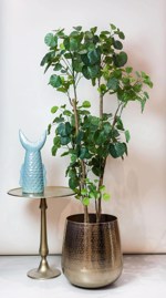 Copac artificial Poliscia (Polyscias) cu 279 frunze - 160 cm