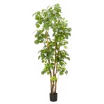 Copac artificial Poliscia (Polyscias) cu 591 frunze - 195 cm