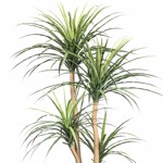 Copac artificial x3 Dracaena in ghiveci - 160 cm