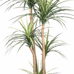 Copac artificial x3 Dracaena in ghiveci - 160 cm