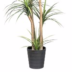 Copac artificial x3 Dracaena in ghiveci - 160 cm
