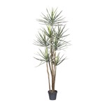 Copac artificial x7 Yucca Gloriosa - 210 cm