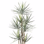 Copac artificial x7 Yucca Gloriosa - 210 cm