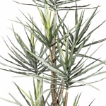 Copac artificial x7 Yucca Gloriosa - 210 cm