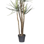 Copac artificial x7 Yucca Gloriosa - 210 cm